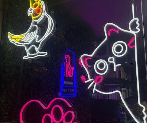 تفاوت نئون فلکسی با نئون شیشه ای